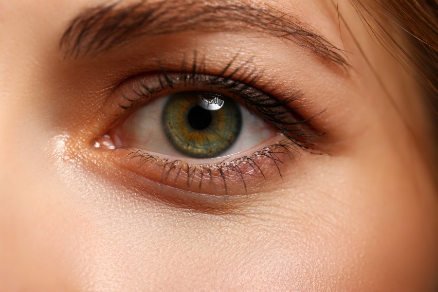 Comment appelle-t-on les yeux marron-vert ?