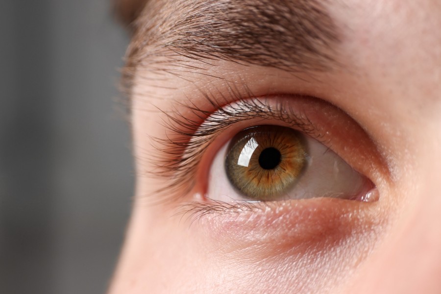 Pourquoi les yeux marron vert sont-ils si fascinants ?